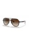 Sunčane naočale Ray-Ban RB4376 L (57-16) sa smeđim staklima i черепаховой okvir