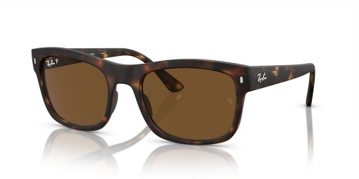 Ray-Ban RB4428 L (56 - 21) med Bruna linser och Tortoise frame Solglasögon