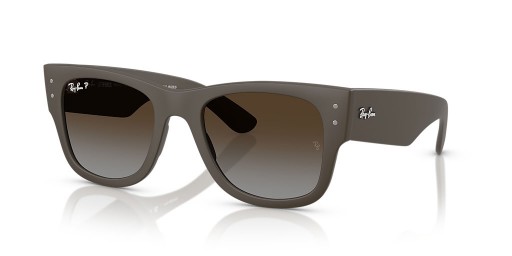 Ray-Ban RB4840S Mega Wayfarer Liteforce M (50 - 21) med Bruna linser och Brun ram Solglasögon