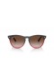 Ray-Ban RB4471 Iris L (54 - 18) med Bruna linser och Multicolor ram Solglasögon