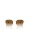 Ray-Ban RB3694 Jim XL (55 - 20) med Bruna linser och Guld ram Solglasögon