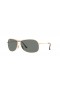 Ray-Ban RB3267 L (64 - 13) med Gröna linser och Guld ram Solglasögon