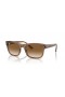 Ray-Ban RB4428 L (56 - 21) med Bruna linser och Brun ram Solglasögon