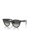 Ray-Ban RB2241 Wayfarer Sätt XL (54 - 21) med Grå linser och Tortoise frame Solglasögon
