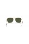 Ray-Ban Caravan RB3136 L (55 - 15) med Gröna linser och Guld ram Solglasögon