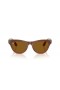 Ray-Ban RW4010 Ray-Ban | Meta Skyler M (52 - 20) med Bruna linser och Beige ram Solglasögon