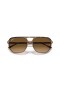Ray-Ban RB2205 Bill One XL (60 - 16) med Bruna linser och Tortoise frame Solglasögon