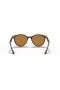 Ray-Ban RB4305F L (53 - 19) med Bruna linser och Tortoise frame Solglasögon