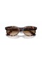 Ray-Ban RB2242 Wayfarer Oval M (50 - 22) med Bruna linser och Tortoise frame Solglasögon
