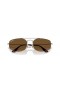 Ray-Ban RB3845 Explorer V XXL (60 - 17) med Bruna linser och Silver ram Solglasögon