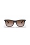 Ray - Ban RB4440N Blaze Wayfarer L (0-141) Kahverengi lensli ve Kaplumbağa çerçeveli Güneş Gözlüklü