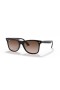 Ray - Ban RB4440N Blaze Wayfarer L (0-141) Kahverengi lensli ve Kaplumbağa çerçeveli Güneş Gözlüklü