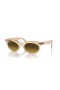 Ray-Ban RB2242 Wayfarer Oval Değişim L (53-22) Kahverengi lensler ve Kahverengi çerçeve Güneş Gözlüğü