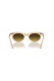 Ray-Ban RB2242 Wayfarer Oval Değişim L (53-22) Kahverengi lensler ve Kahverengi çerçeve Güneş Gözlüğü