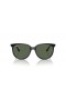 Yeşil lensli ve Siyah çerçeveli Güneş Gözlüklü Ray-Ban RB4378 S (54 - 16)