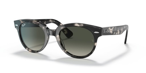 Ray-Ban RB2199 Orion L (52 - 22) con Gris y lentes de Tortuga Gafas de sol de montura