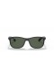 Ray-Ban RB4202 Andy M (55 - 17) con lentes de color Verde y Negro Gafas de sol de montura