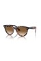 Ray-Ban RB2241 Caminante Manera XL (54 - 21) con lentes Marrones y la Tortuga Gafas de sol de montura