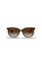 Ray-Ban RB4378F S (54 - 16) con lentes Marrones y la Tortuga Gafas de sol de montura