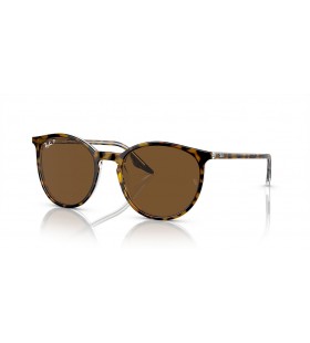 Ray-Ban RB2204 L (54 - 20) con lentes Marrones y Marrones Gafas de sol de montura