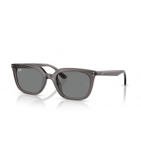 Ray-Ban RB4439D L (54 - 21) con Gris lentes y Gafas de sol de montura Gris