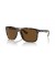 Ray-Ban RB4547 صديقها اثنين XL (60 - 18) مع البني العدسات السلحفاة نظارات الإطار