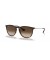 Ray-Ban RB4171 اريكا الكلاسيكية م (54 - 18) مع البني العدسات السلحفاة نظارات الإطار