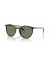 Ray-Ban RB2204F RB2204 التحولات® L (54 - 18) مع عدسات شفافة و السلحفاة نظارات الإطار
