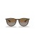Ray-Ban RB4171 اريكا الكلاسيكية م (54 - 18) مع البني العدسات السلحفاة نظارات الإطار