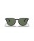 Ray-Ban RB4259 م (51 - 20) مع الأخضر العدسات و النظارات الشمسية الإطار الأسود