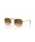 Ray-Ban RB3694 جيم XL (55 - 20) مع البني العدسات الذهب الإطار النظارات الشمسية