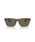 Ray-Ban RB4396 وارن الحيوي القائم XL (57 - 20) مع الأخضر العدسات البني نظارات الإطار