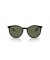 Ray-Ban RB2204 S (51 - 20) مع الأخضر العدسات و النظارات الشمسية الإطار الأسود