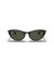 Ray-Ban RB4314N نينا م (54 - 18) مع الأخضر العدسات و النظارات الشمسية الإطار الأسود