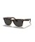 Ray-Ban RB2140 الأصلية عابر سبيل ذو لونين لتر (50 - 22) مع العدسات الرمادية و السلحفاة نظارات الإطار