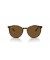 Ray-Ban RB2204 S (51 - 20) مع العدسات البني و البني نظارات الإطار