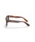 Ray-Ban RB2283 بوربانك XL (55 - 20) مع العدسات البني و البني نظارات الإطار