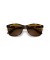 Ray-Ban RB4374 XL (56 - 19) مع البني العدسات السلحفاة نظارات الإطار
