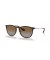 Ray-Ban RB4171 اريكا الكلاسيكية م (54 - 18) مع البني العدسات السلحفاة نظارات الإطار
