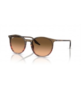 Ray-Ban RB2204 S (51 - 20) Ù…Ø¹ Ø§Ù„Ø¹Ø¯Ø³Ø§Øª Ø§Ù„ÙˆØ±Ø¯ÙŠ Ùˆ Ø§Ù„Ø¨Ù†ÙŠ Ù†Ø¸Ø§Ø±Ø§Øª Ø§Ù„Ø¥Ø·Ø§Ø±
