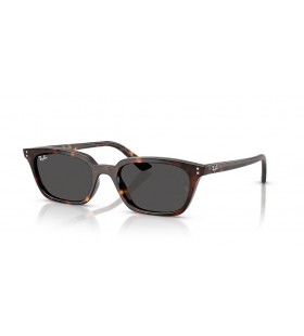 Ray-Ban RB4456 Ø²Ø§ÙŠØ§ Ø§Ù„Ø­ÙŠÙˆÙŠ Ø§Ù„Ù‚Ø§Ø¦Ù… Ù… (53 - 19) Ù…Ø¹ Ø§Ù„Ø¹Ø¯Ø³Ø§Øª Ø§Ù„Ø±Ù…Ø§Ø¯ÙŠØ© Ùˆ Ø§Ù„Ø³Ù„Ø­ÙØ§Ø© Ù†Ø¸Ø§Ø±Ø§Øª Ø§Ù„Ø¥Ø·Ø§Ø±