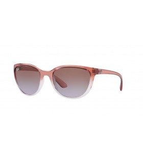 Ray-Ban RB4167 م (59 - 20) مع العدسات البني والبيج نظارات الإطار