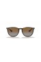 Ray-Ban RB4171F Erika Classic M (54 - 18) s Hnědými čočkami a Želva rám sluneční Brýle