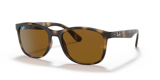 Ray-Ban RB4374 XL (56 - 19) med Brune linser og Tortoise frame Solbriller
