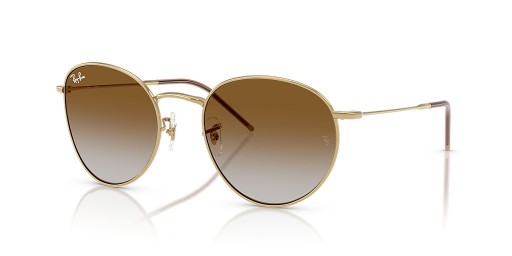 Ray-Ban RBR0103S Runde Omvendte L (53 - 21) med Brune linser og Guld ramme Solbriller