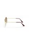 Ray-Ban RB3548 Sekskantet M (51 - 21) med Brune linser og Guld ramme Solbriller