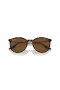 Ray-Ban RB2204 S (51 - 20) med Brune linser og Brun ramme Solbriller