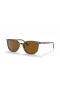 Ray-Ban RB2197 Elliot S (52 - 19) med Brune linser og Brun ramme Solbriller