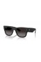 Ray-Ban RB4840S Mega Wayfarer Liteforce M (50 - 21) med Grå linser og Sort ramme Solbriller
