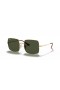 Ray-Ban RB1971 Pladsen 1971 Classic L (54 - 19) med Grønne linser og Guld ramme Solbriller